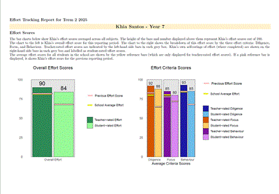 Student Report Example