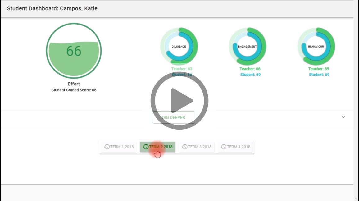 SDashboards